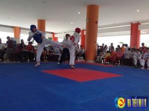 Giải Taekwondo Nhà Thiếu nhi Quận 10